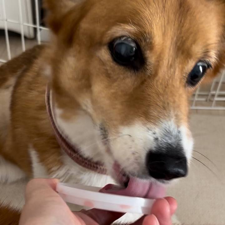 0c8c47b2 faef 4032 bc5d b9662a8e095f 1755920174824