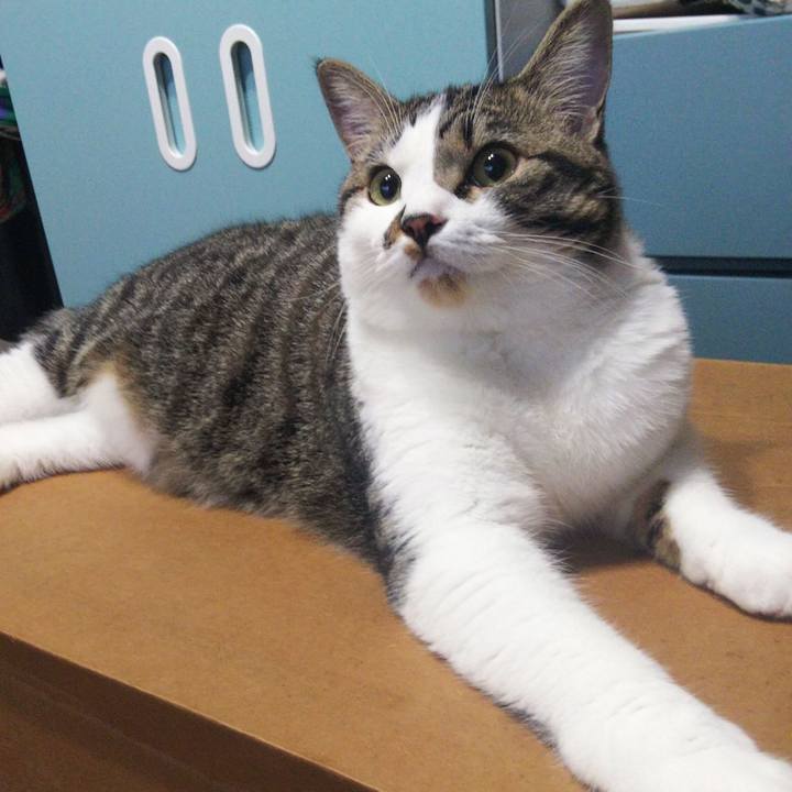 0c8c4e68 003f 4827 81e6 37dd63d146ea 1627075293794