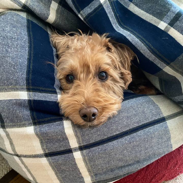 0c8c62c5 95dc 492d 9fcd 76acbfec8704 1646531522753