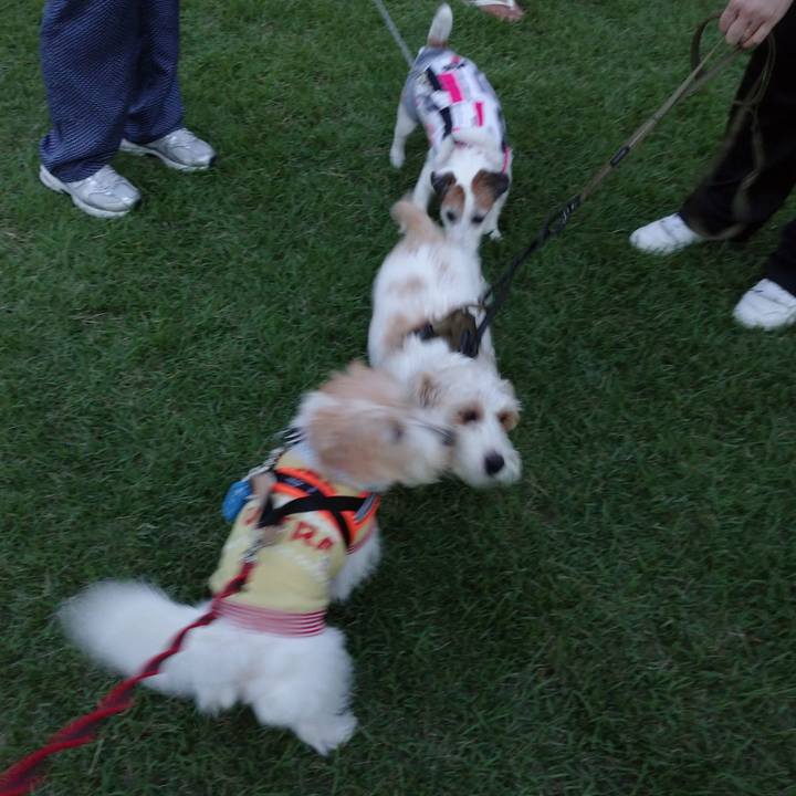 0c8c7cc1 8d16 47d1 9e25 1343ede46c69 1757929762327