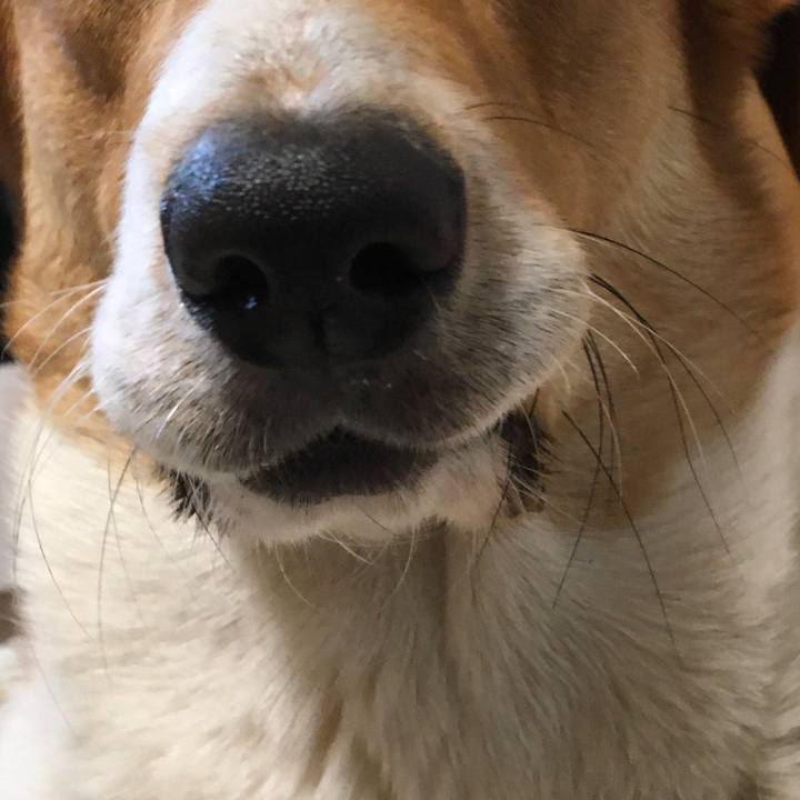 0c8c8d0e 6e81 4b50 9d73 96d338abf0a0 1618881994730