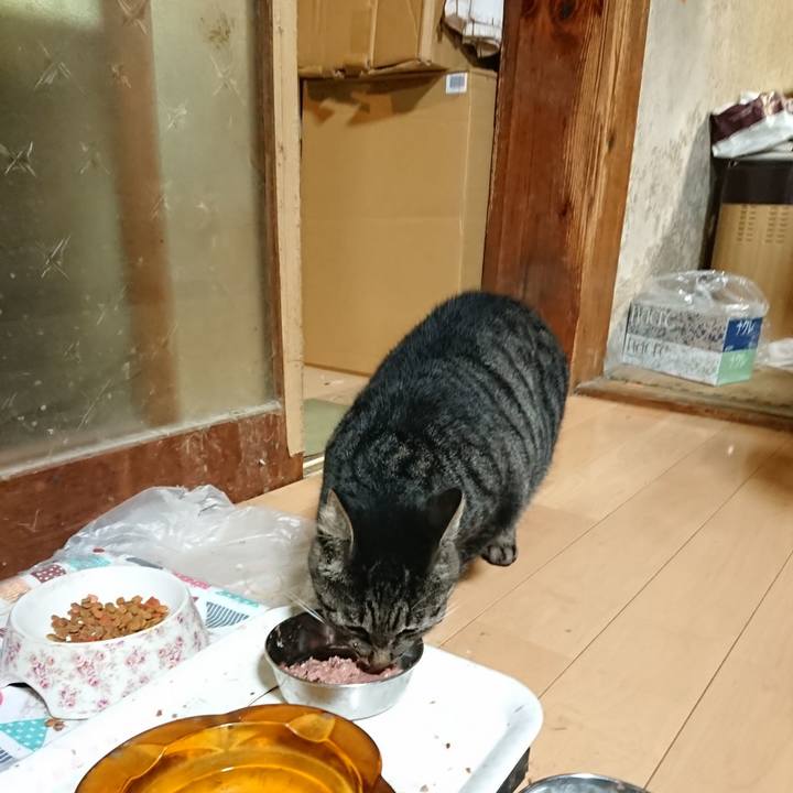 0c8ca21a 7f70 426a a5e2 fc7e8e54f2e4 1631972627436