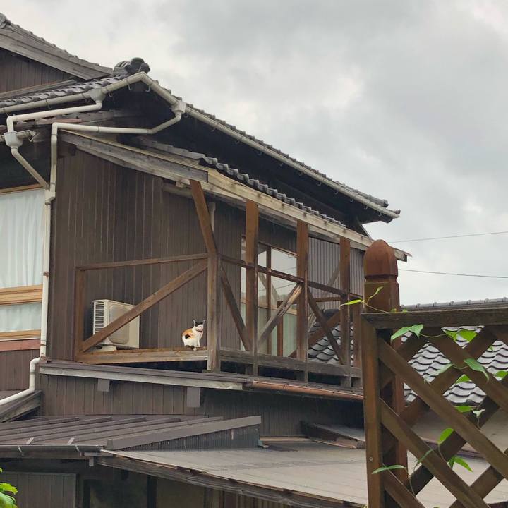 0c8cb882 1dba 4978 be72 288e3fb7922c 1631571343361