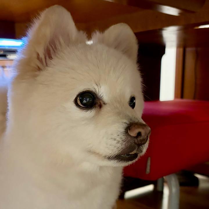 0c8ce8f5 2134 4652 b40c 964495a3e6be 1772627820392