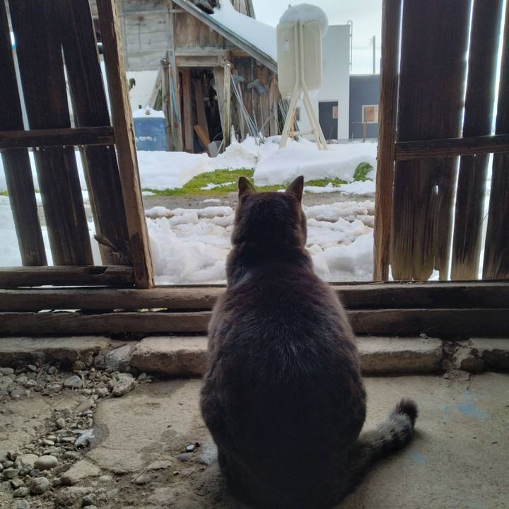 0c8cf343 53fd 432d 9f86 f372799b63db 1702976689472