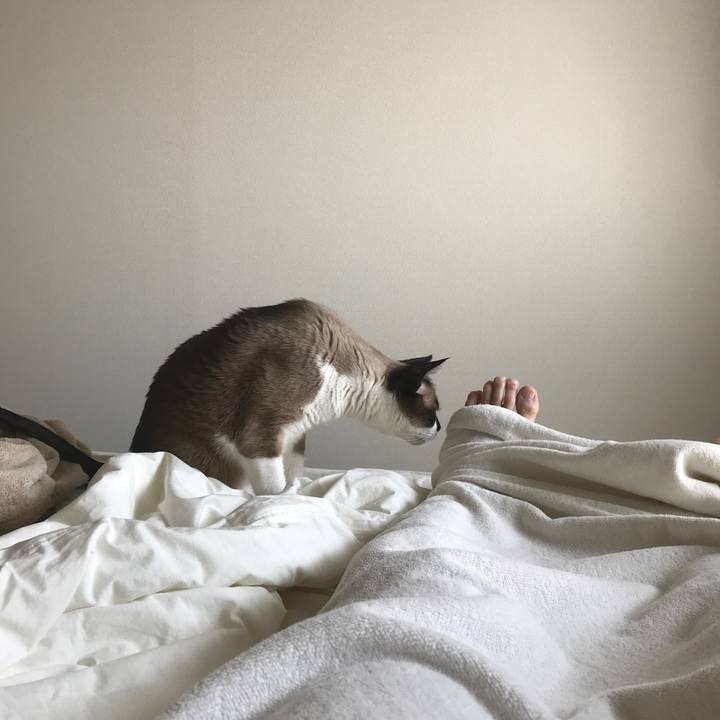 0c8cfa8a 9374 42f7 b8f0 15ef32575876 1525417387031