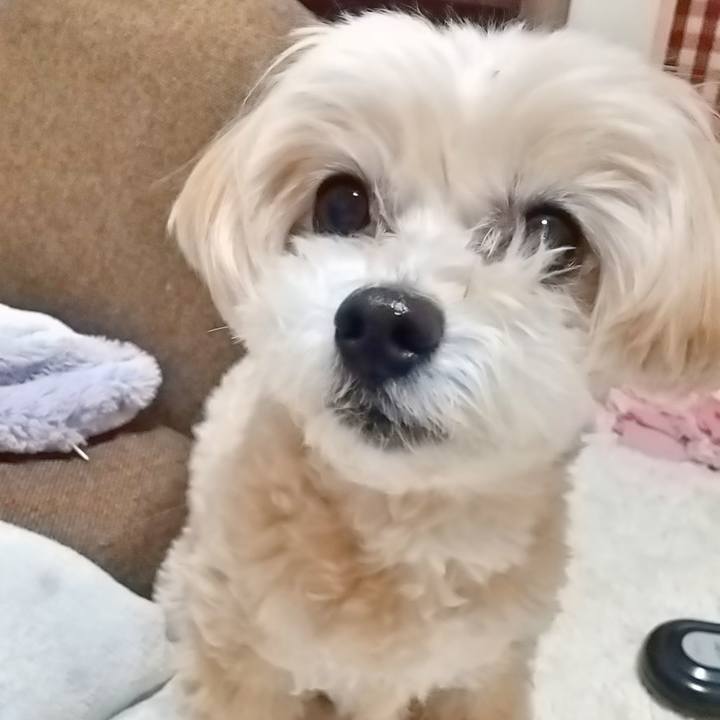 0c8d115b d8a8 4c85 bf0f f9b361424f51 1583500813977