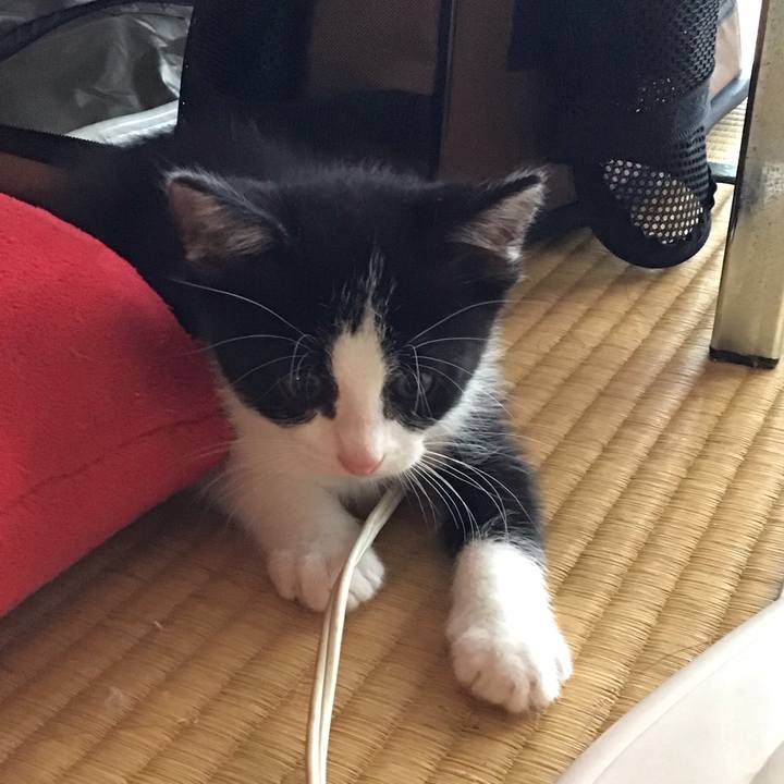 0c8d21ee 3109 4062 b8cc 59dfce4256b5 1623817562183