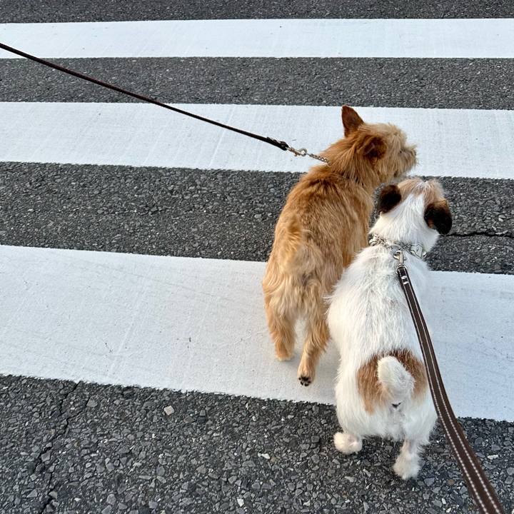 0c8d26d2 7710 464c bb63 eab56a3f1a48 1752498381825