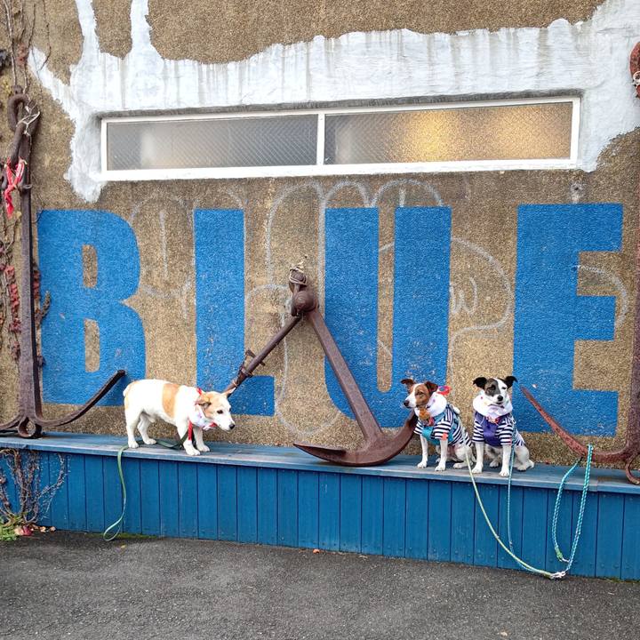 0c8d4142 c64d 4a0a 8bec 63fb09731607 1668334573340