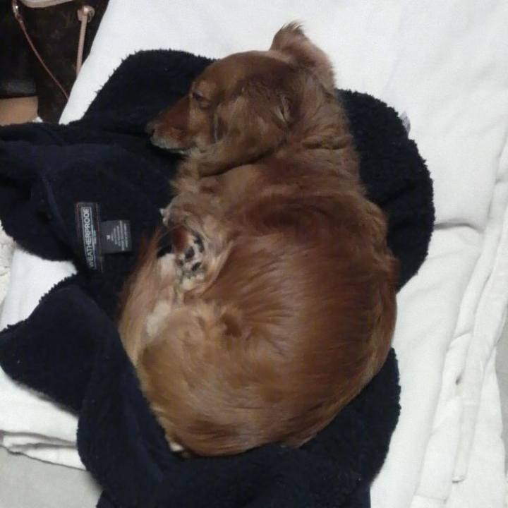 0c8db9b6 9afe 48b8 a73d af66392c8894 1550596636064