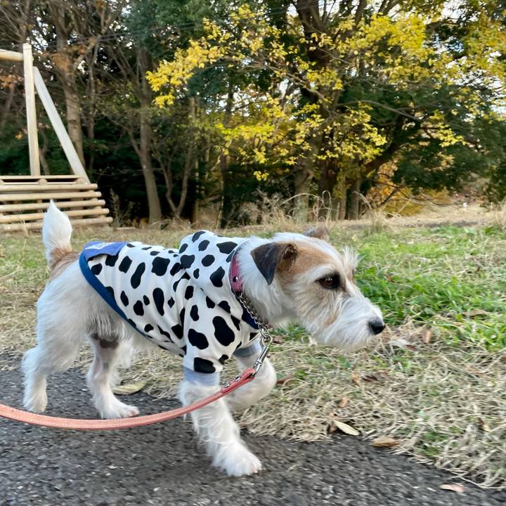 0c8de539 0481 47fd bbf6 9d73cb8ffd39 1638344621573