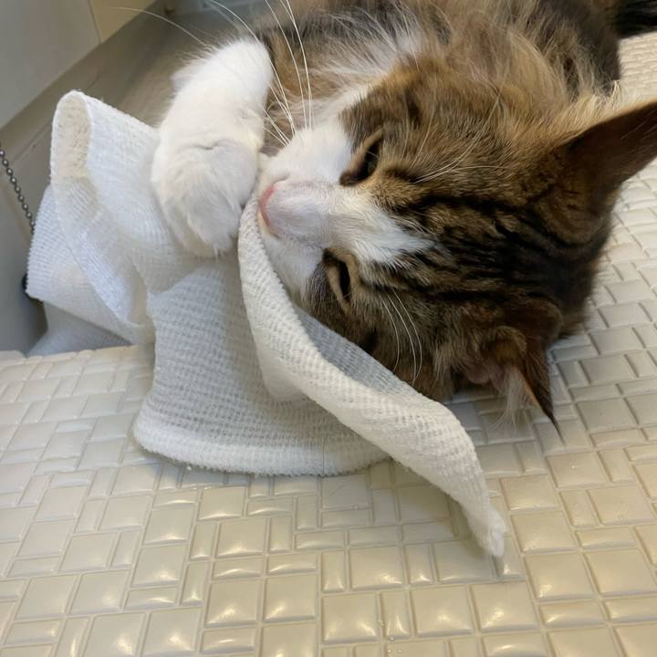 0c8e3c94 56ac 44e8 9749 9f025561a546 1655846336978