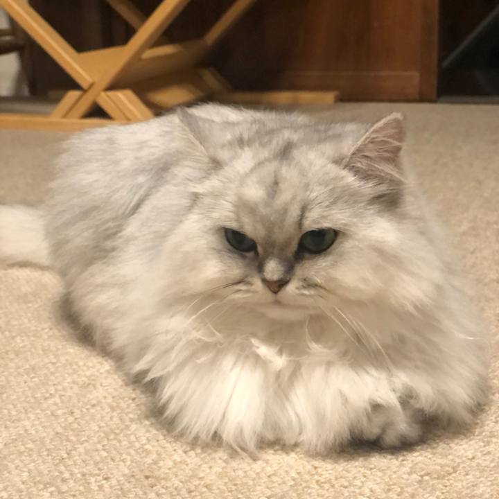 0c8e7a81 2e73 416b 905f dd4030925ca4 1571140153768