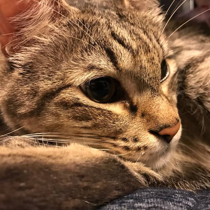 0c8ea0f0 f98d 45d8 a09e 5af6ac79aea4 1536220070499