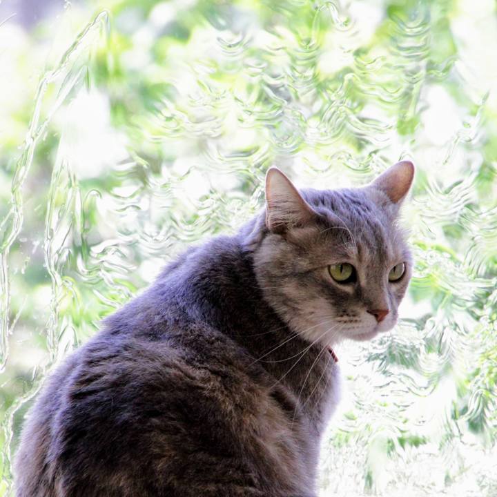 0c8ea35d 4cf3 4ca9 8ef8 128a86d0ce63 1622431180954