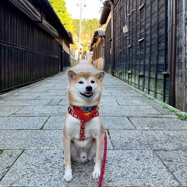 0c8ecc16 5805 4f49 b9b8 1bcb562b1f64 1603183935812