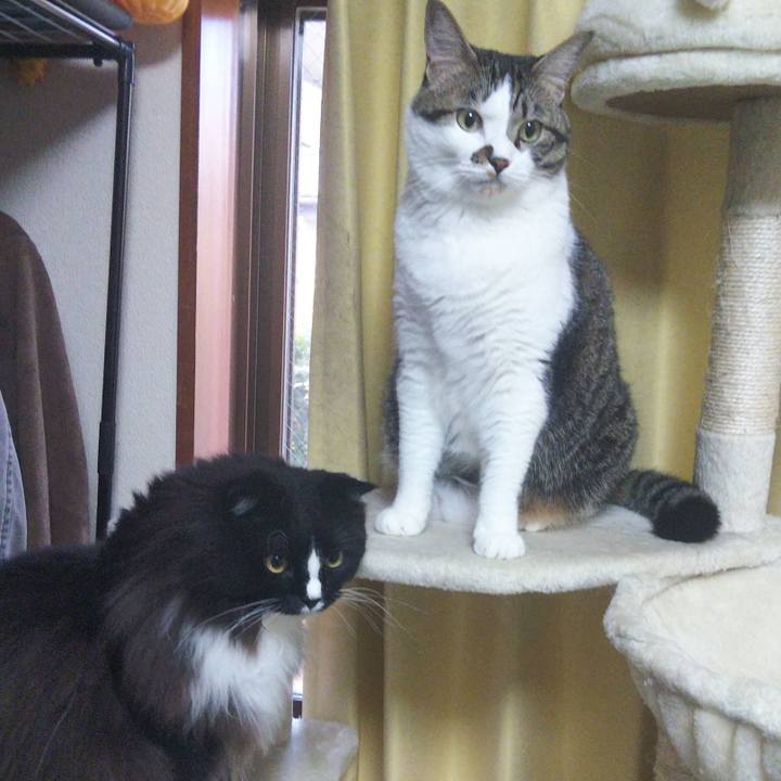 0c8ed373 4627 4168 963c cbbba35e8739 1664488128598