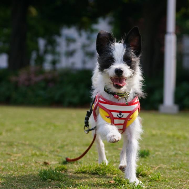 0c8ee078 d2dc 4197 878d 81e6ab353a37 1525175616501