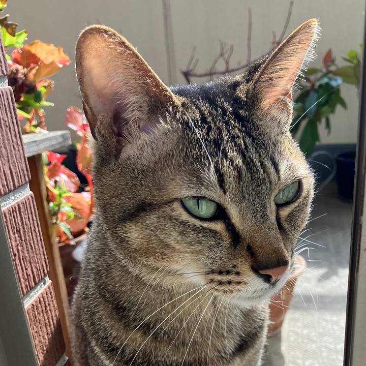 0c8f0487 2043 4b82 8aae 6d677159436b 1771377352167