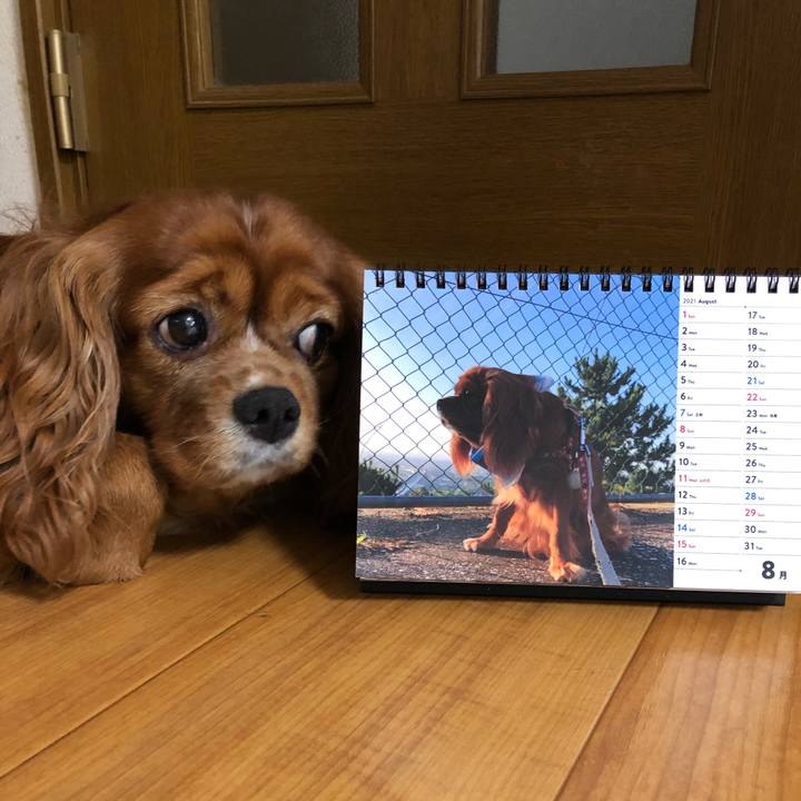 0c8f3a32 de3a 4bd3 a58b 6610f4928861 1627770827962