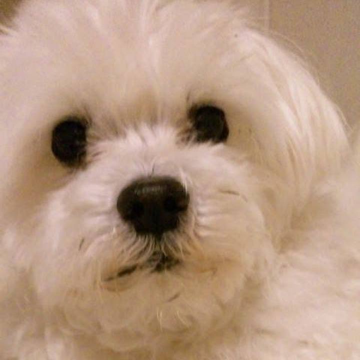 0c8f889d 89c1 44d8 9657 87cd25473239 1530887707559