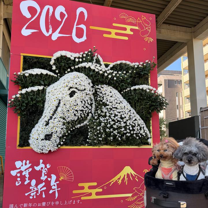 0c8f949d c7b5 4ddc bba3 ff5cbab0a332 1767241064788