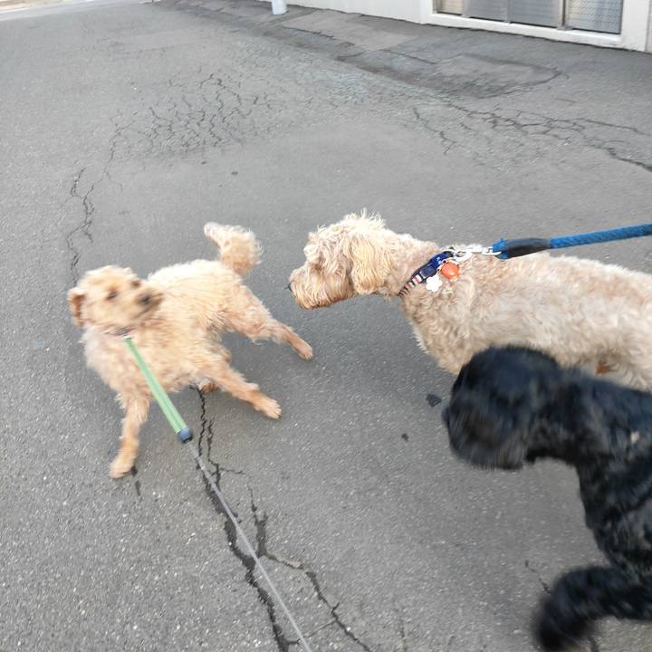 0c8facef 9ebb 4cb8 9fad 92c06d3121f2 1605140825638