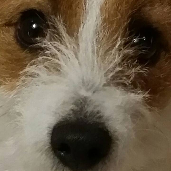 0c8fbf84 5c09 4eab a546 7b7c42539e21 1523525139947