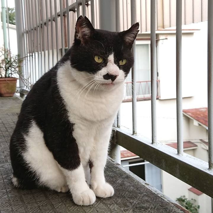 0c8fdf81 ccbd 45e0 b08b 7c9964e3d6ac 1600207163075