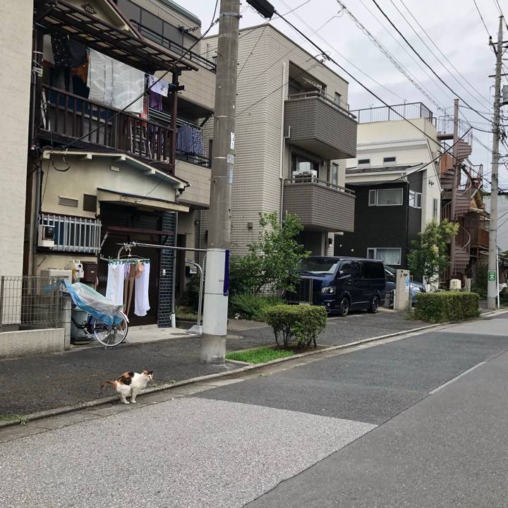 0c8fe9ac f003 4642 ba82 9f7ac0fd53cf 1594309327512