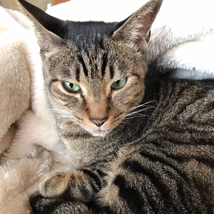 0c901eda 3ff3 4162 82de b555cd9205c1 1515460871399