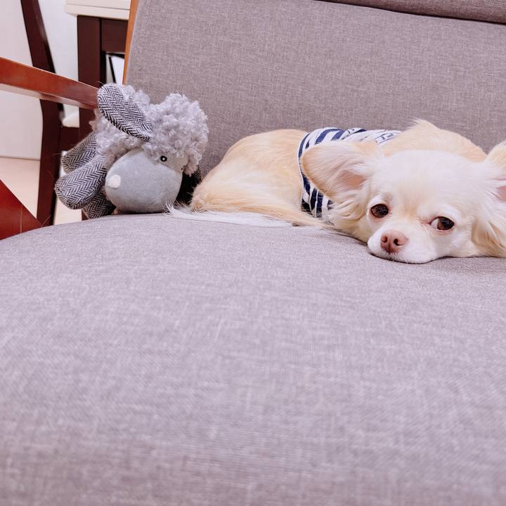 0c904c14 df05 4125 9152 f3d016020692 1679574216198