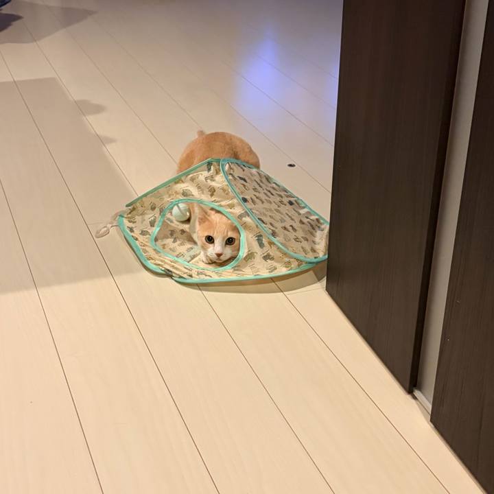 0c904cba dc64 465b b678 cf42affbec2f 1760868970258