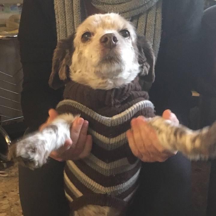 0c9076b4 e069 4744 98d1 dab5fc9cd1b7 1512233274786