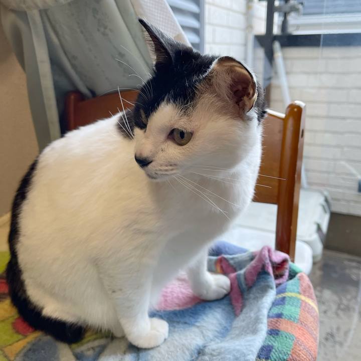 0c908cab c0eb 40f4 b8f8 82eefddba6a2 1765320609185