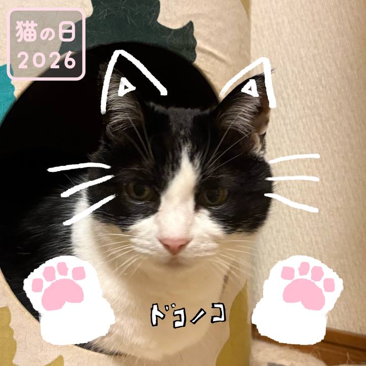 0c9092f9 84bd 4341 a644 38762e72842b 1771711112647