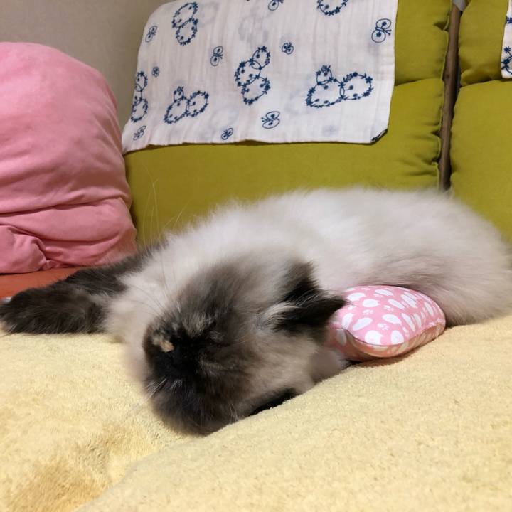 0c90a595 f24e 4041 ba8b 57c8c7a6c575 1640770687828