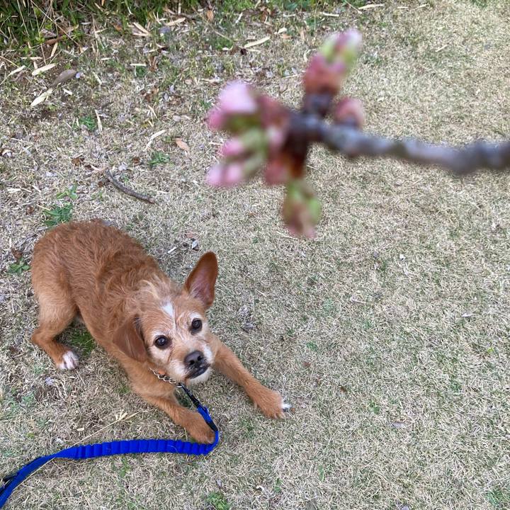 0c90c977 15f8 48a5 b4fe 6762647a8c37 1648202736953