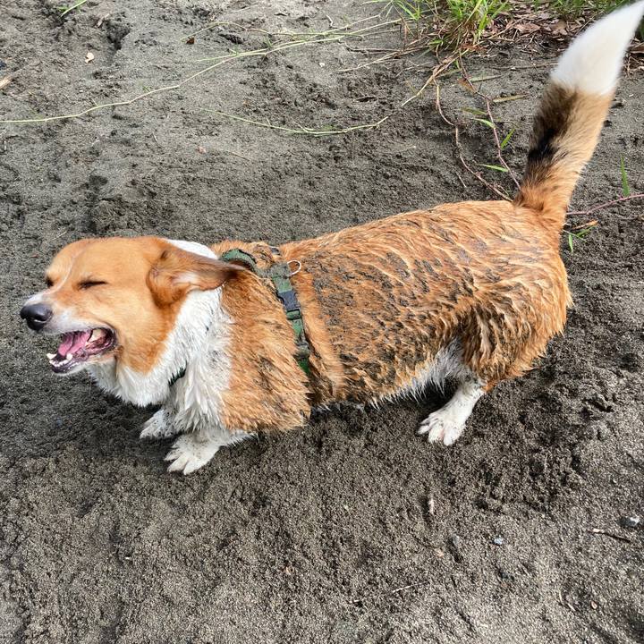 0c90f919 72a4 43a1 87a9 8e82345abc21 1750118214182