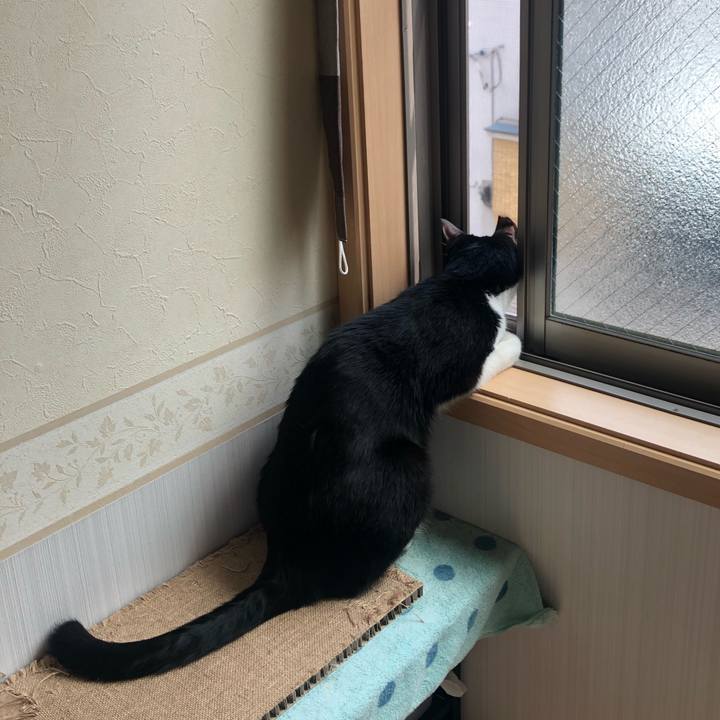 0c912773 7e75 4289 a272 42416cecb2a0 1600357660259