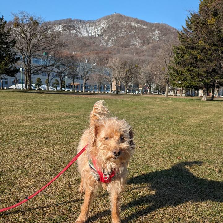 0c914637 8eff 4c8d 90b4 a5843615fe38 1712787831145