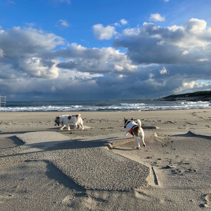 0c916683 384b 4fba a9cf 884b17f5d1ed 1699834881789