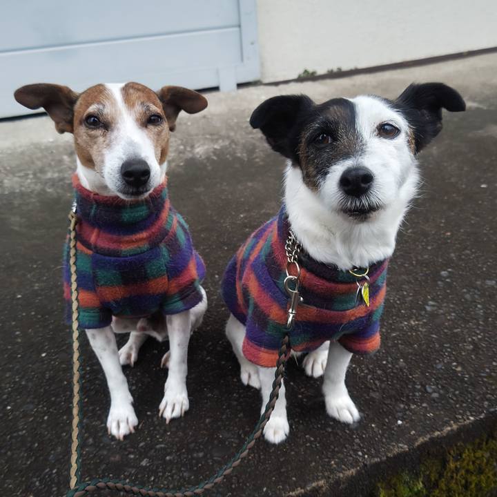 0c91742f 068f 45d7 8d1e 55e448a9c041 1771280268640