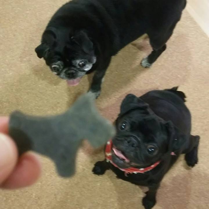 0c917ec8 cc4e 45a7 8b78 c0c9ae5d726c 1537272983930