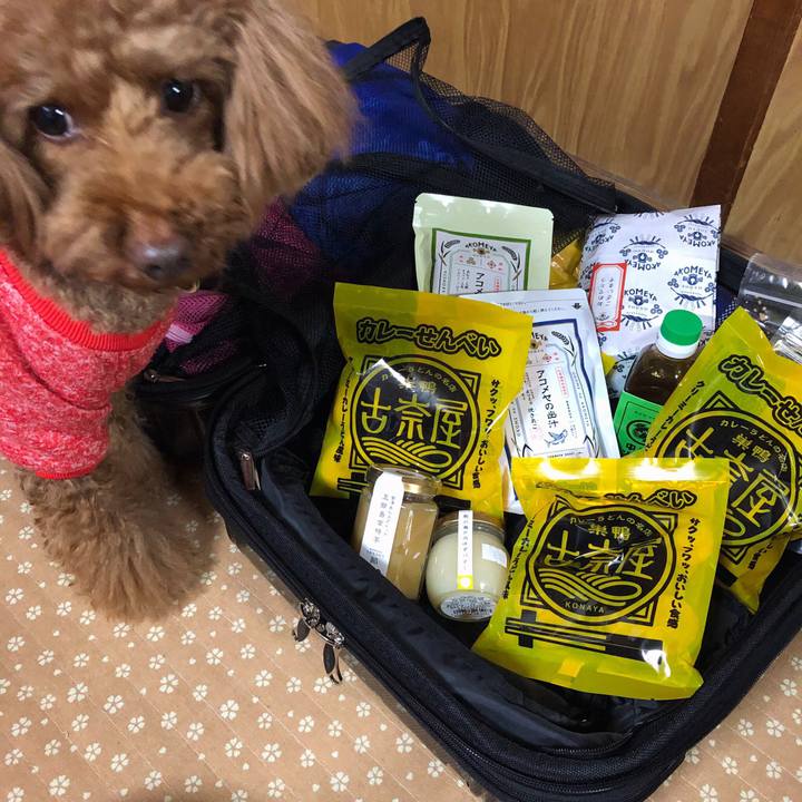 0c91a0c2 bdd4 42f2 a4f5 181d89cec92c 1553339647131