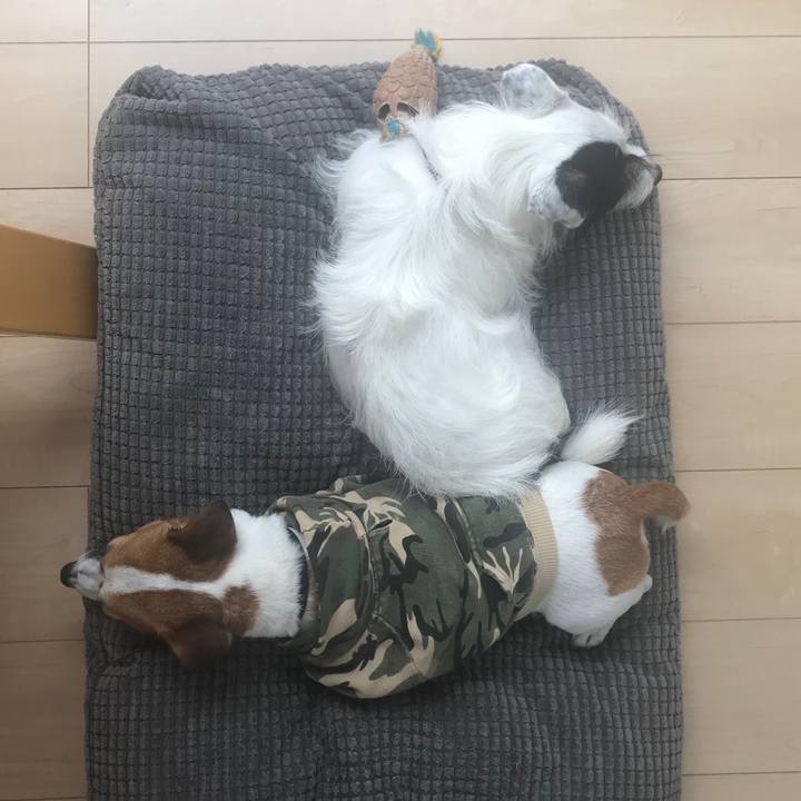 0c91ab07 9183 4f67 a5c2 e4bf3f70e0aa 1537924019345