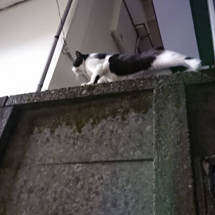 0c91b27f caea 4de6 b74c 9908b7766efd 1543417205507