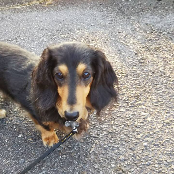 0c91c4b2 2f34 46d9 af8c 3cf9218fb5ee 1604380328471