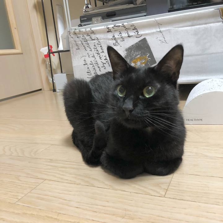 0c91eb47 f2e2 4c2e ac25 b3196af6da3c 1621648900622